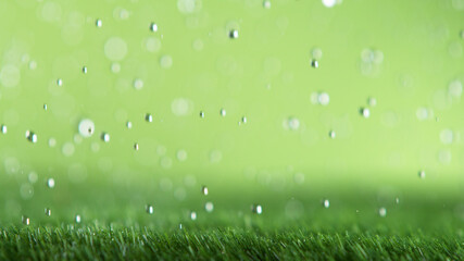 Freeze motion of rain drops falling on grass texture