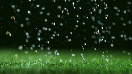 Freeze motion of rain drops falling on grass texture