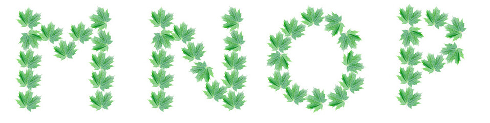 The letters M, N, O, P are made of green maple leaves