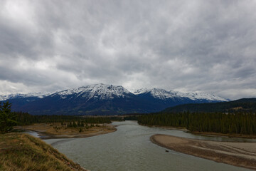Glacier lake before rainstorm, pine forest
