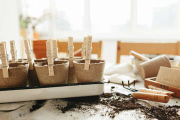 Seeds, peat pots, gardening tools on linen fabric background. Ready for plant