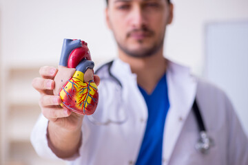 Young male doctor cardiologist in the classroom