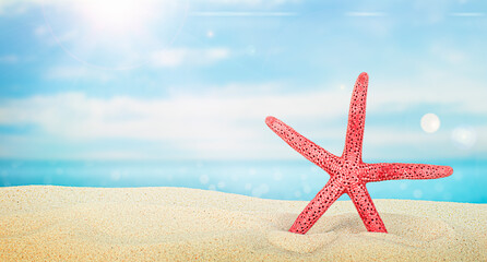 Fototapeta na wymiar one red starfish on the sand against the background of the sea