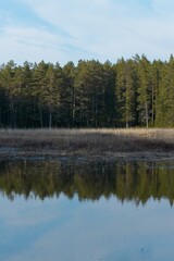 Fototapeta na wymiar A small lake surrounded by trees near Norrfällsviken