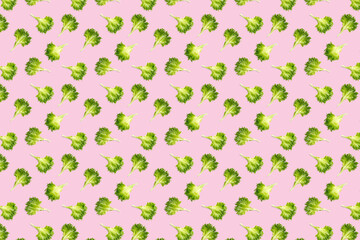 pop art background from lettuce green leaves salad. frillice salad isolated on pink. iceberg salad leaf close up, modern background, flat lay. lettuce green leaf pattern