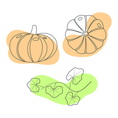 Contour pumpkin. Vector linear image on a white background.