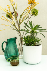 Madagascar palm, decorative flowers and pretty green jug