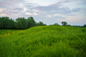 field and blue sky