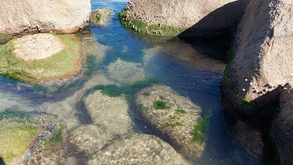 beach stones