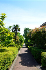遊歩道　馬堀海岸団地　横須賀風物百選