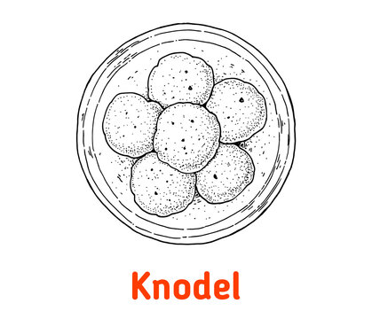 German knodel hand drawn vector illustration. Bread dumpling top view. Vintage design element. Sketch illustration.