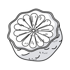 orange half fruit sketch