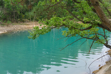 Landscape of a river with turquoise water and green trees