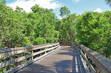 Boardwalk Through the Mangroves Leading to Clam Pass Beach, Naples, FL