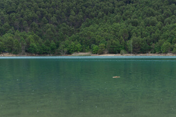 Fototapeta na wymiar San Ponç lake landscape with a floating log