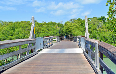 Boardwalk Through the Mangroves Leading to Clam Pass Beach, Naples, FL