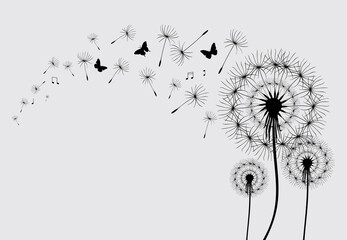 Dandelion with flying butterflies and seeds, vector illustration