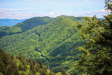 view from the top of the mountain
