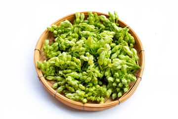 Fresh cowslip creeper on white background