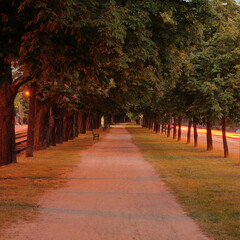 alley in the park