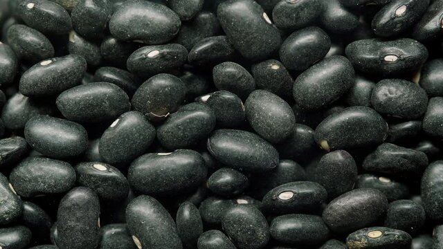 Close-up of falling down black beans into glass jar on black background. Shooting of haricots in studio. Macro footage of pouring out the beans. Food cooking video. 