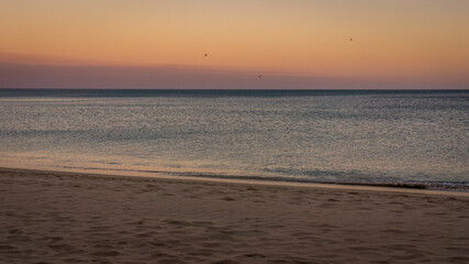 Fototapeta na wymiar Colorful sky at morning before sunrise with silhouette of seagulls at praia da Figueira, Portugal