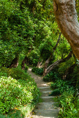 Gardens on Lake Como