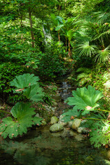 Gardens on Lake Como