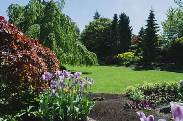 Garden at Queen Elizabeth park