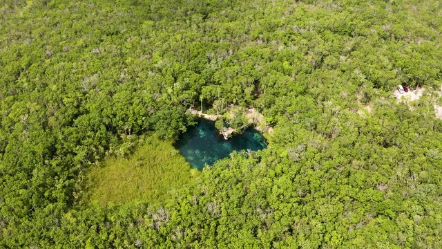 Aerial view of the beautiful heart shaped cenote 