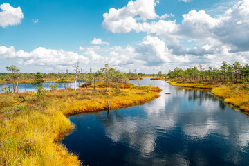 Kemeri National Park swamp in Latvia