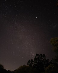 Fototapeta premium starry night sky
