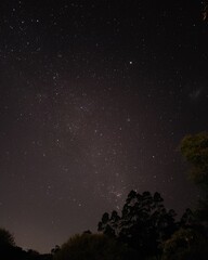 starry night sky