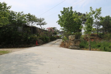 road in the countryside
