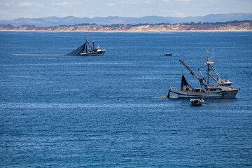 Obraz premium Commercial fishing boats in Monterey, California fishing for calamari
