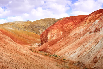 Fototapeta premium Mars in the Altai Mountains. The slope of the river terrace with the exposure of colorful clays and siltstones under the blue sky is a geological attraction. Chui Valley, Siberia, Russia