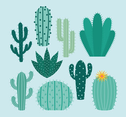cactus items pack