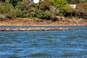flamingos in the water