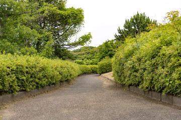 道