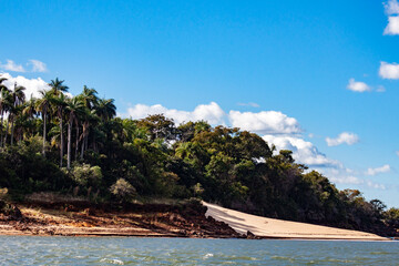 Obraz premium beach with palm trees