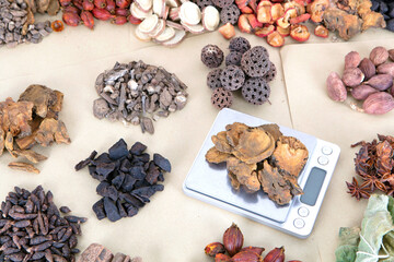Traditional Chinese Medicine