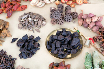 Traditional Chinese Medicine