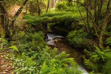 Beautiful water stream in Gresso river Portugal