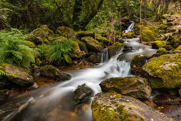 Fototapeta premium Beautiful water stream in Gresso river Portugal