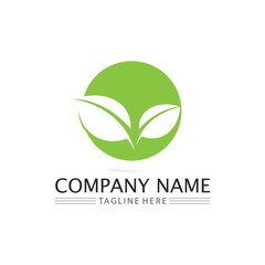 Tree leaf vector and green logo design friendly concept