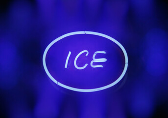 Vintage Neon Signs on restaurant Wall Ice