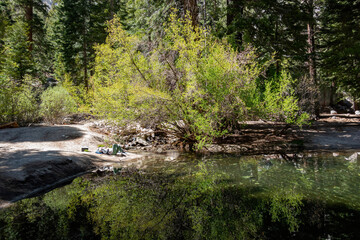 Naklejka premium Beautiful landscape around Mount Whitney Trail