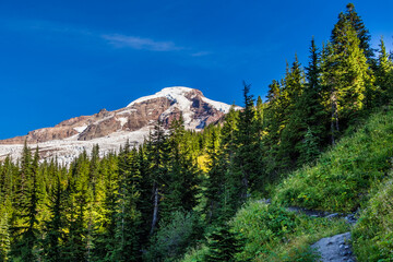 Obraz premium View of Mount Baker from Heliotrope Ridge trail in North Cascades, Washington