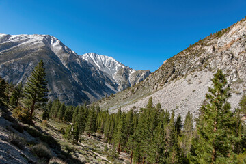 Beautiful landscape around Big Pine Creek Trail