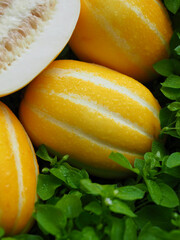 신선한 유기농과일 참외
